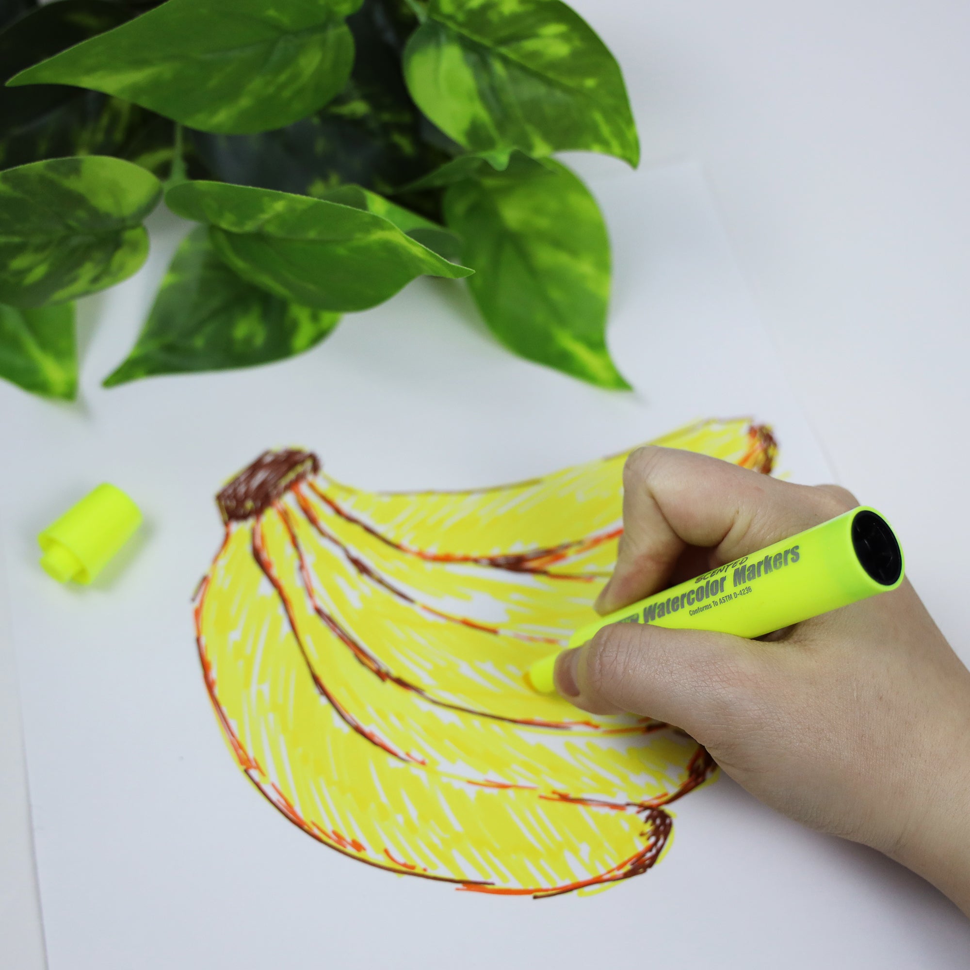 Washable Scented Markers 6 Color