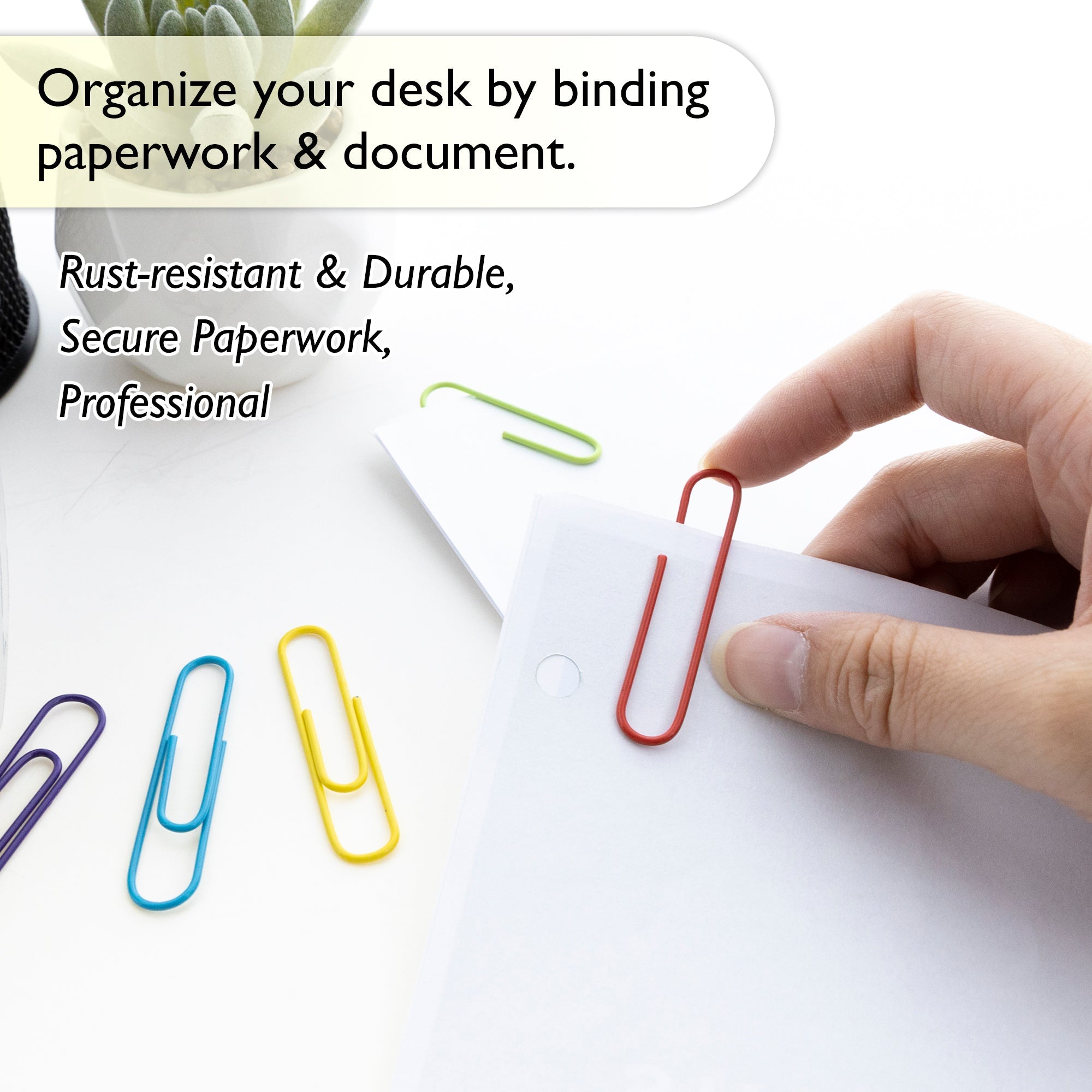 Paper Clip (50mm) Jumbo Color (100/Pack)