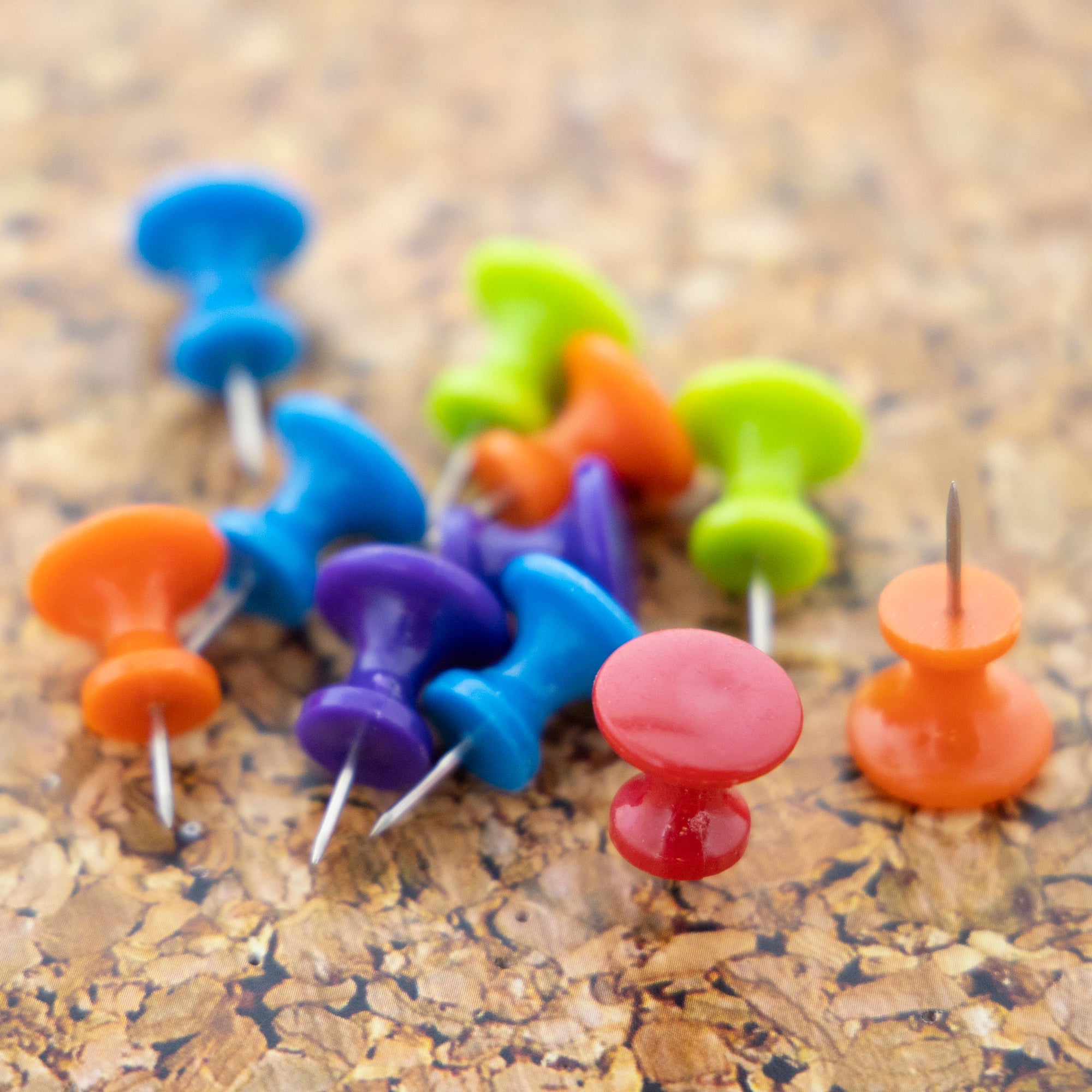 Push Pins Jumbo Assorted Color (25/Pack)