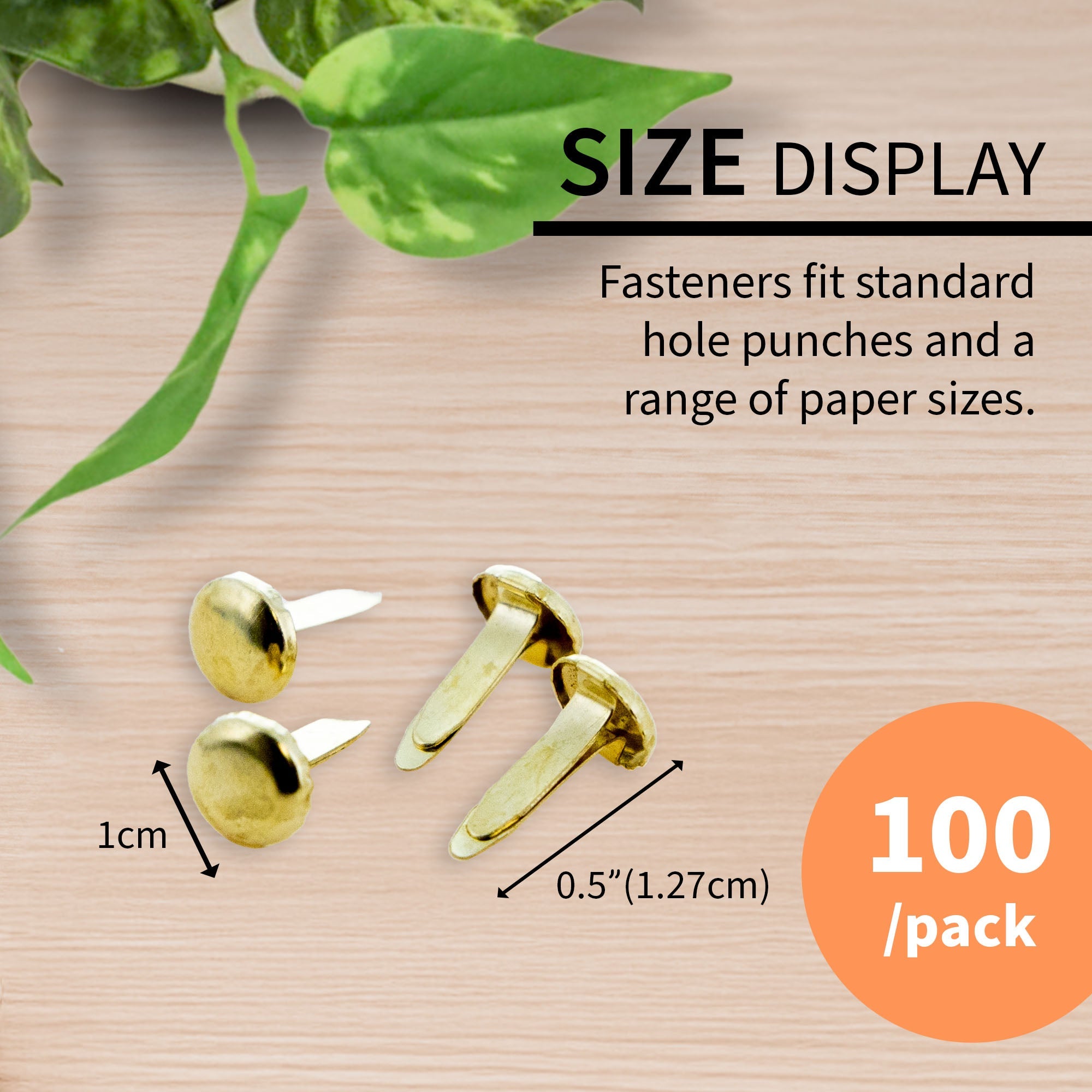1/2" Brass Fastener (100/Pack)