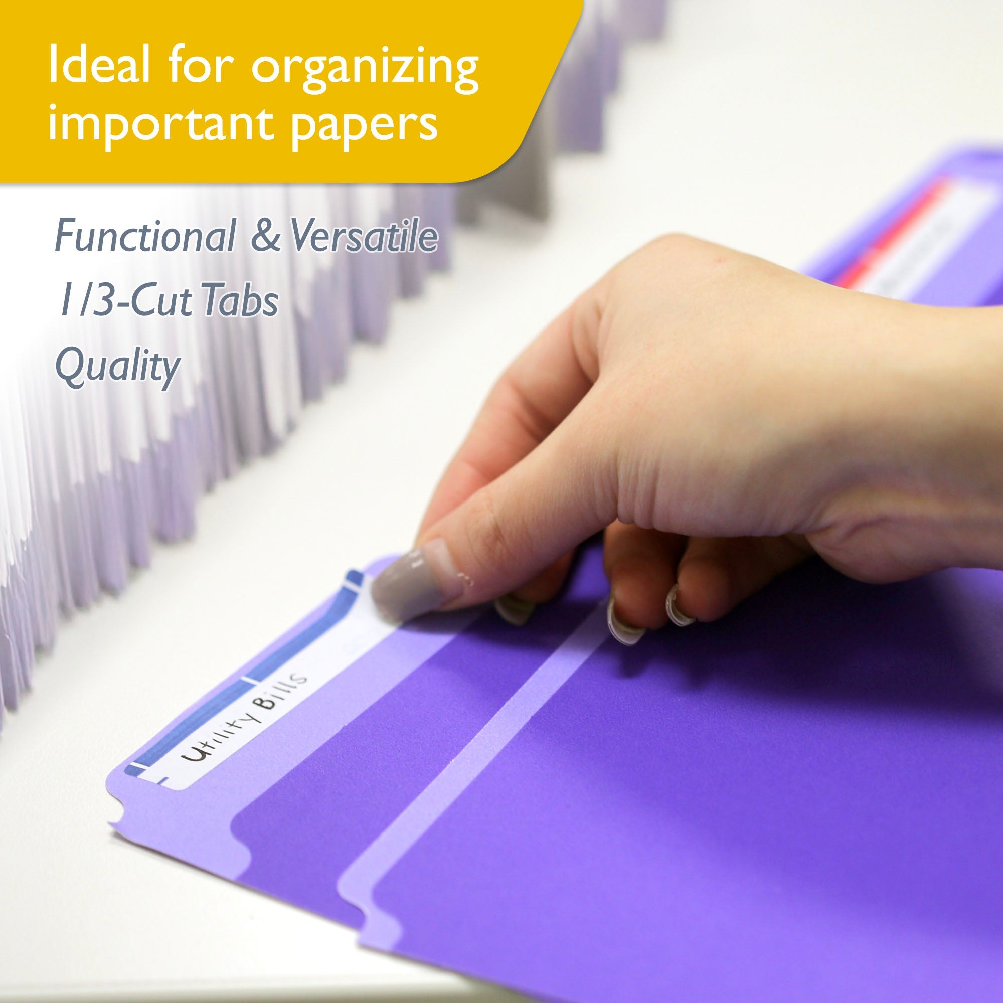 File Folder Color 1/3 Cut Letter Size (100/Box)