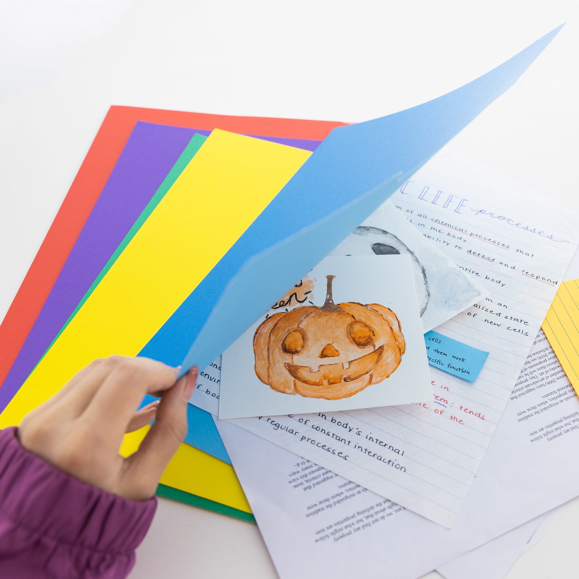 File Folder Color 1/3 Cut Letter Size (100/Box)