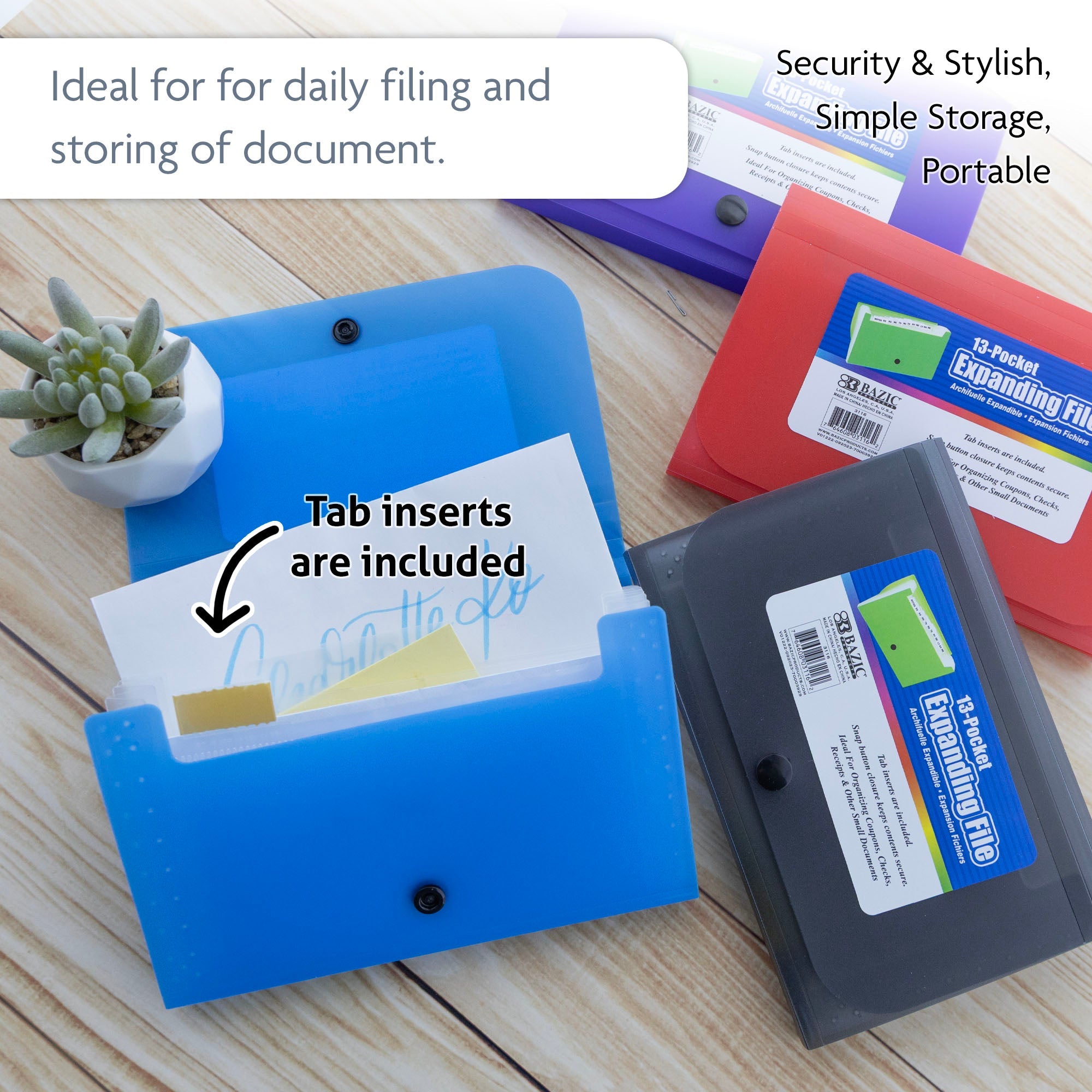 Expanding File Check / Coupon Size 13-Pockets