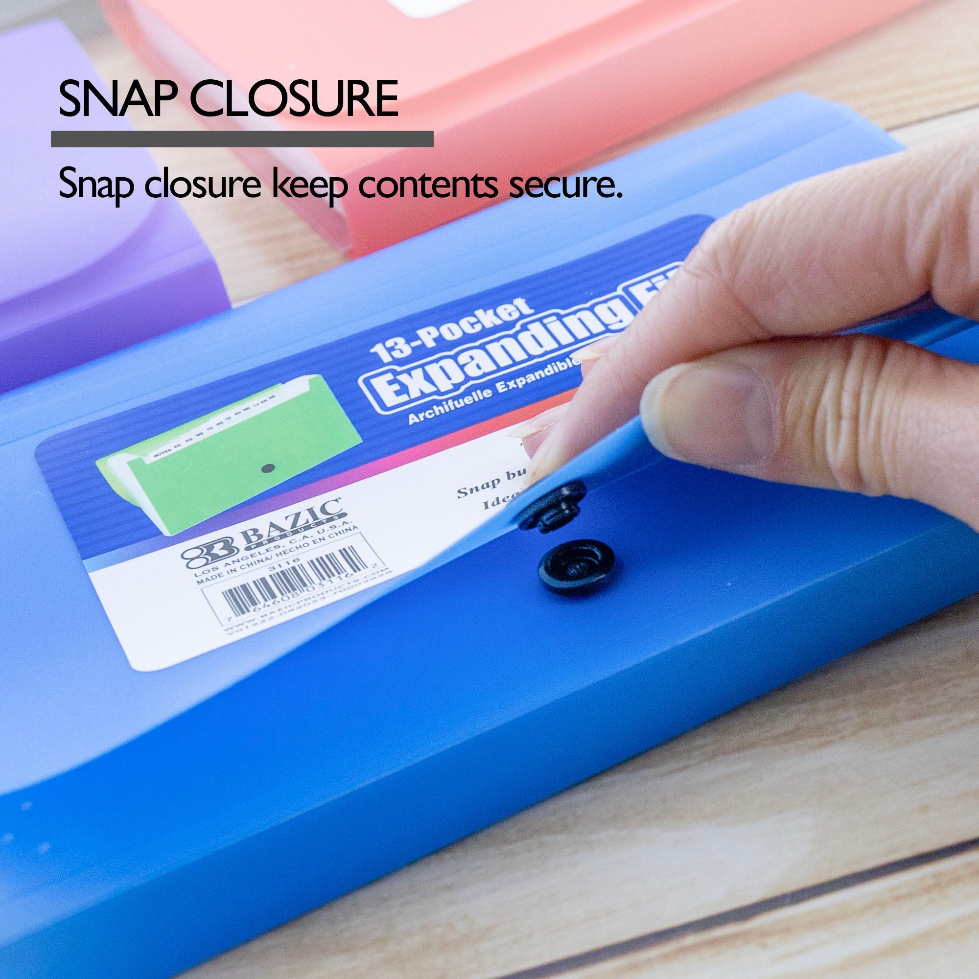 Expanding File Check / Coupon Size 13-Pockets
