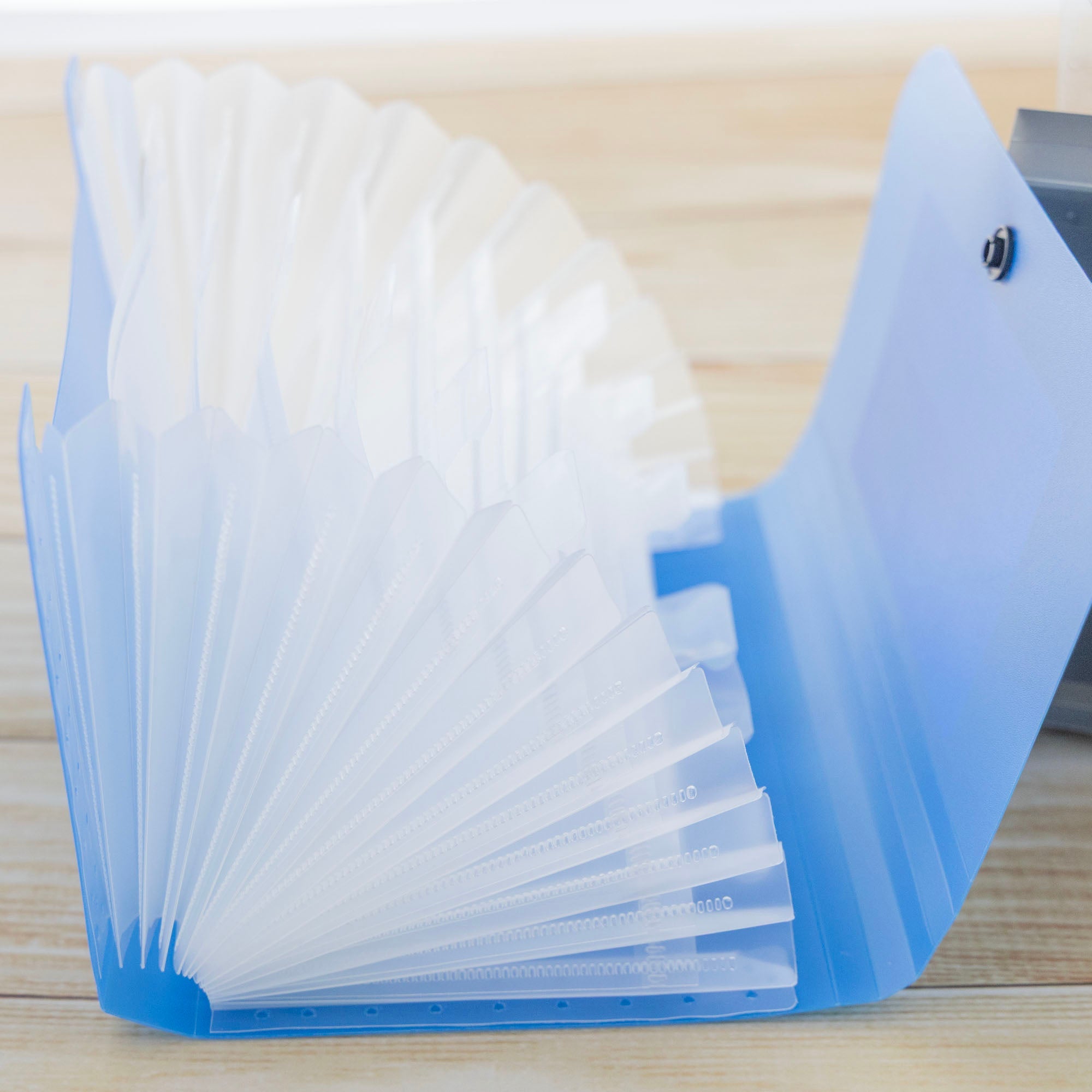 Expanding File Check / Coupon Size 13-Pockets