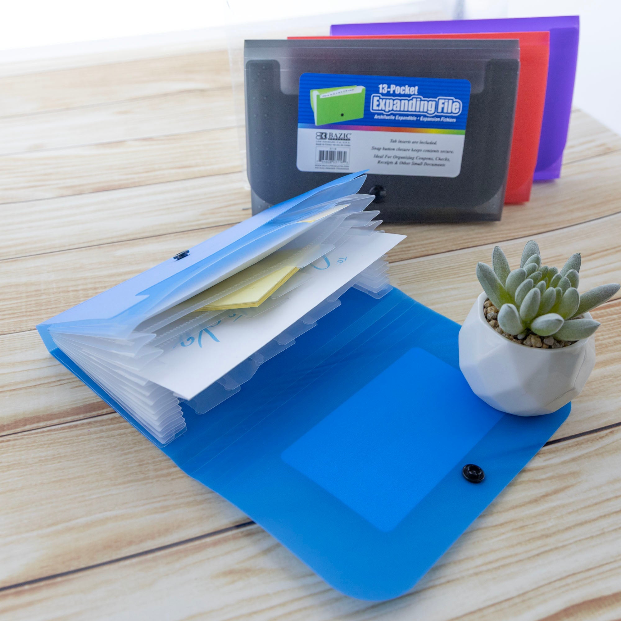 Expanding File Check / Coupon Size 13-Pockets