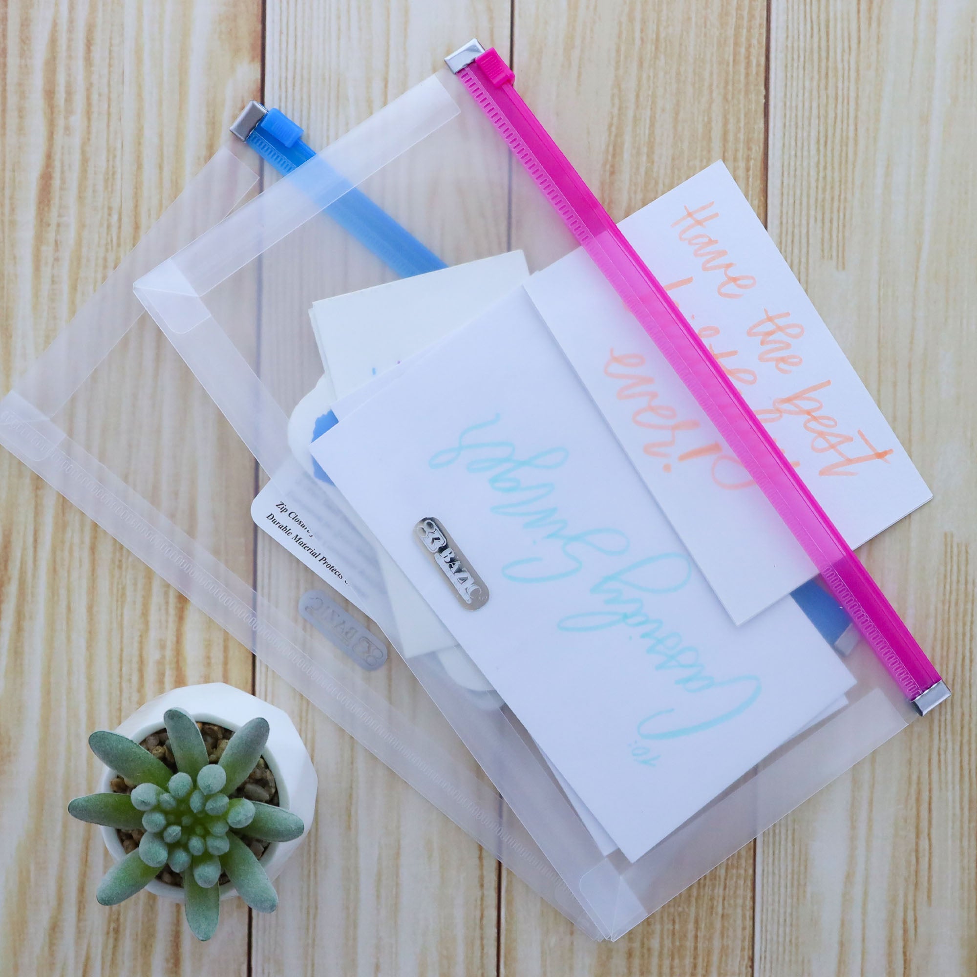 Zip Envelop Coupon/Check Size - Clear