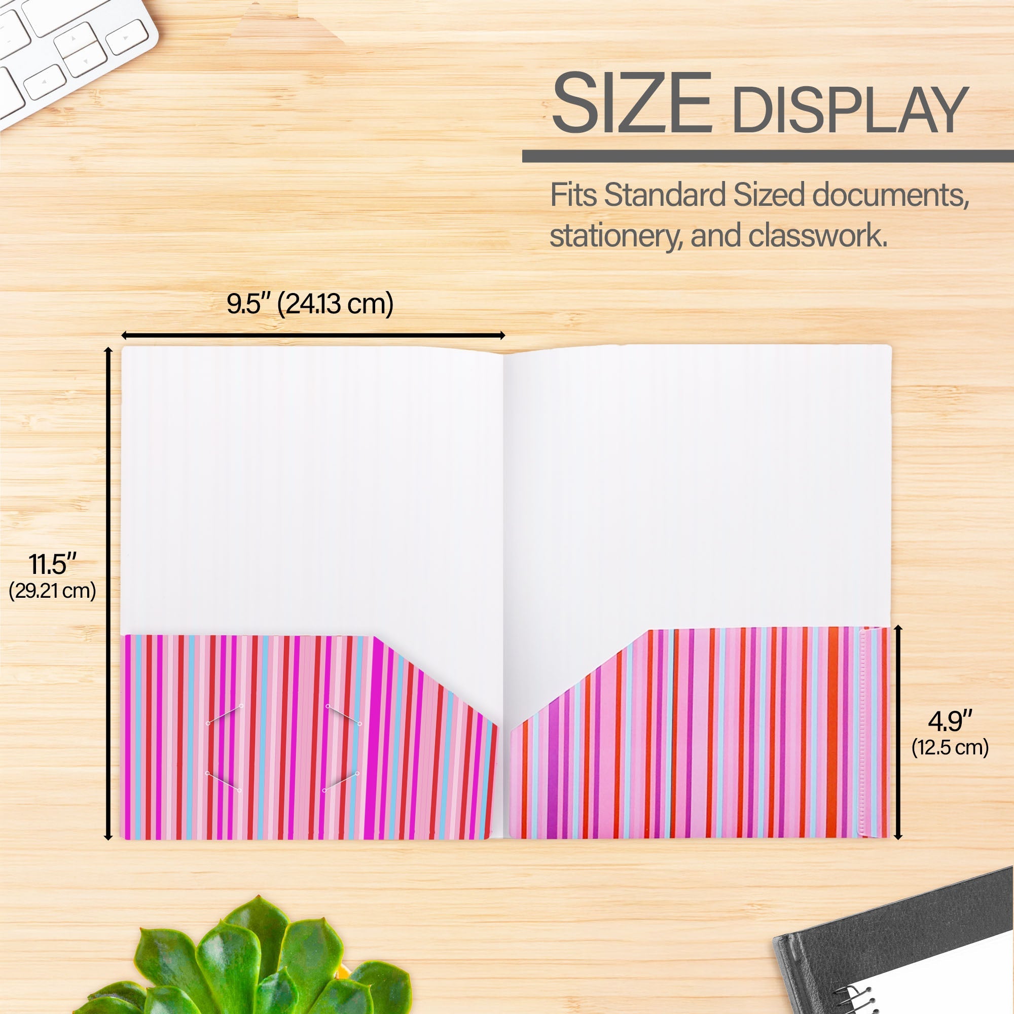Poly 2-Pockets Portfolio - Stripes