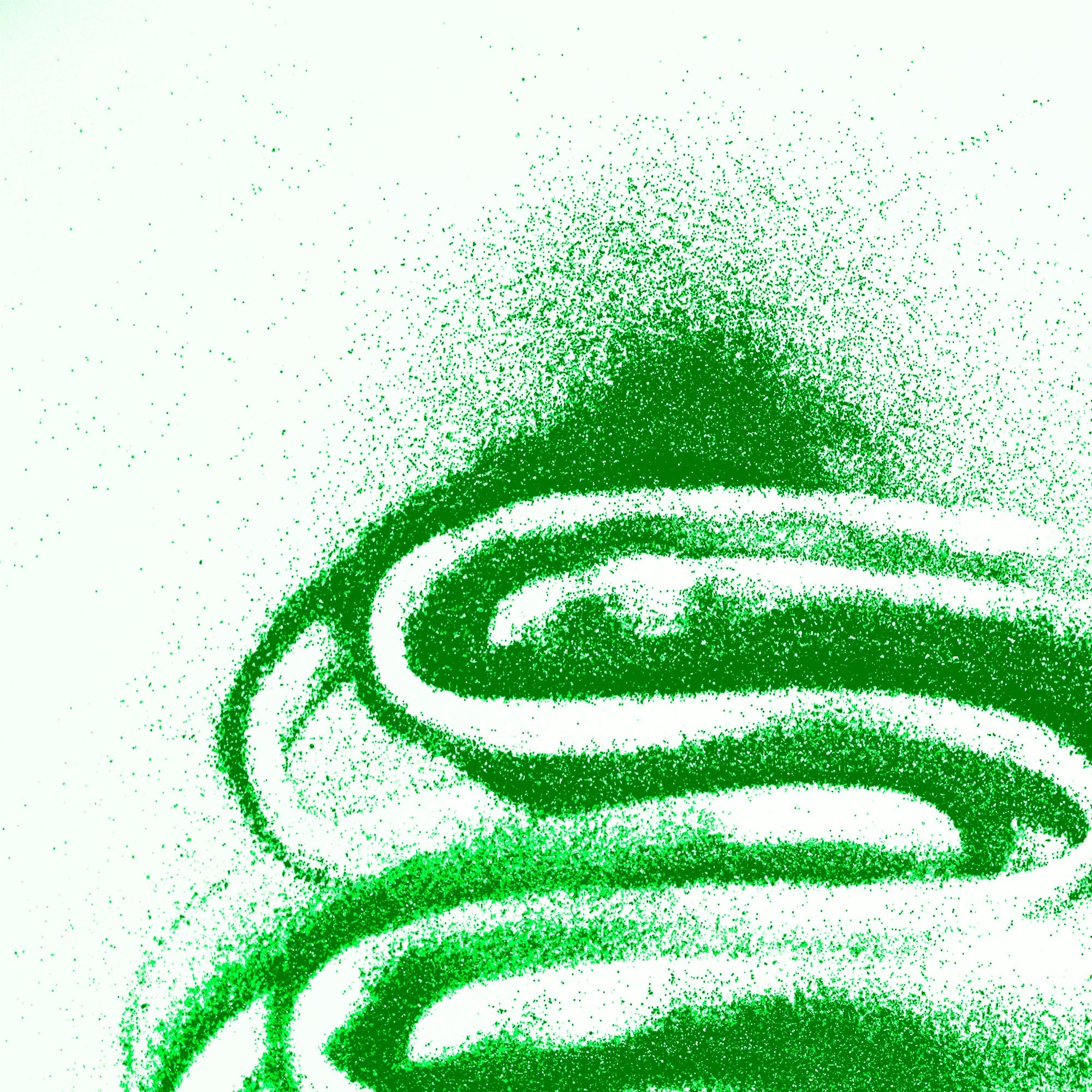 Glitter Shaker 1 lb Green