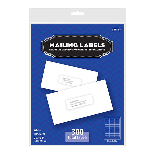 1" X 2 5/8" White Address Labels (300/Pack)