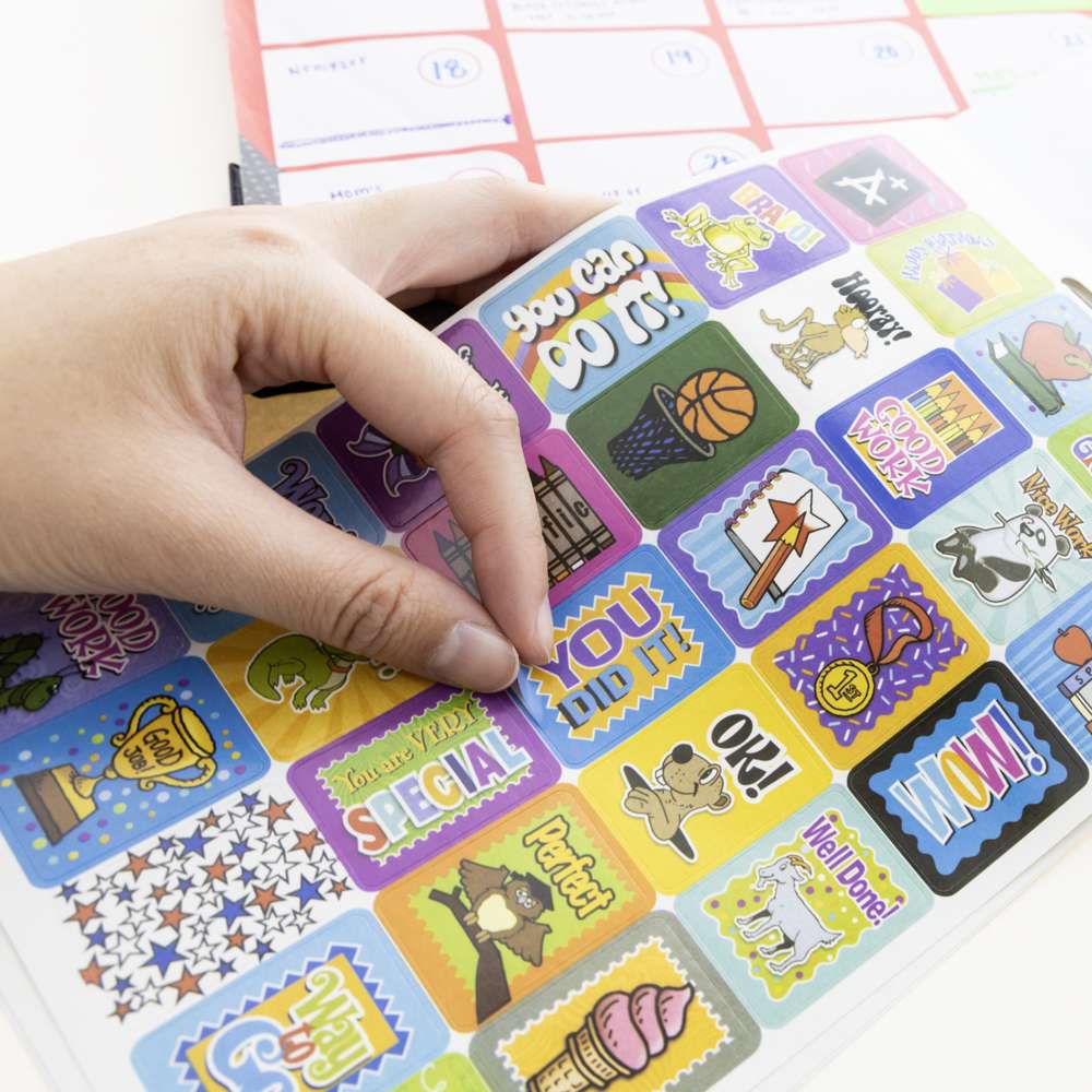 Reward Sticker Book - Plastic Stickers