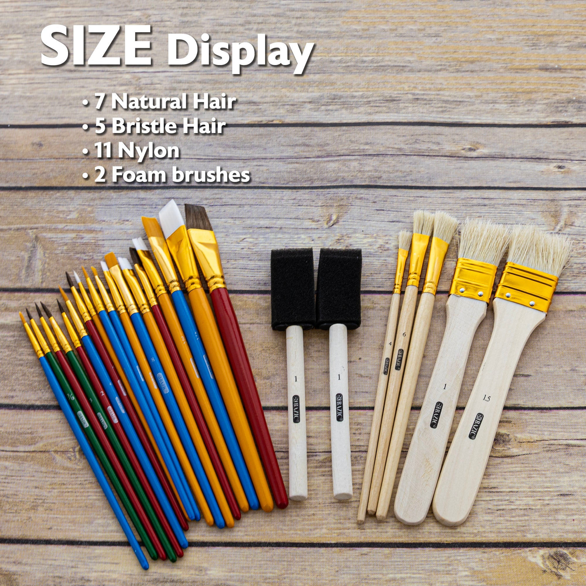Assorted Paint Brush w/ Wood Handle Set (25/Pack)
