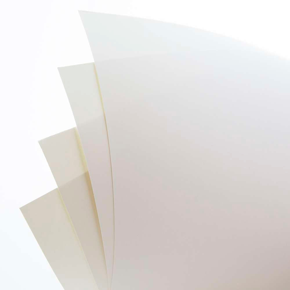 11" X 14" White Poster Board (5/Pack)
