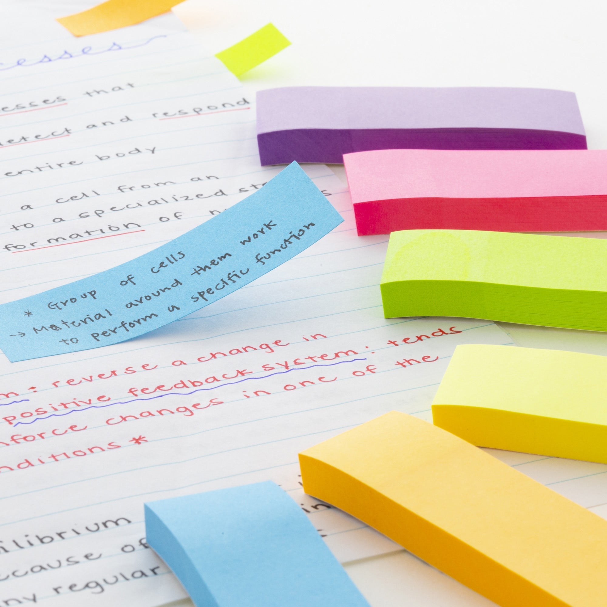 Flag Neon Page Markers 1" X 3" 80 Ct. (6/Pack)