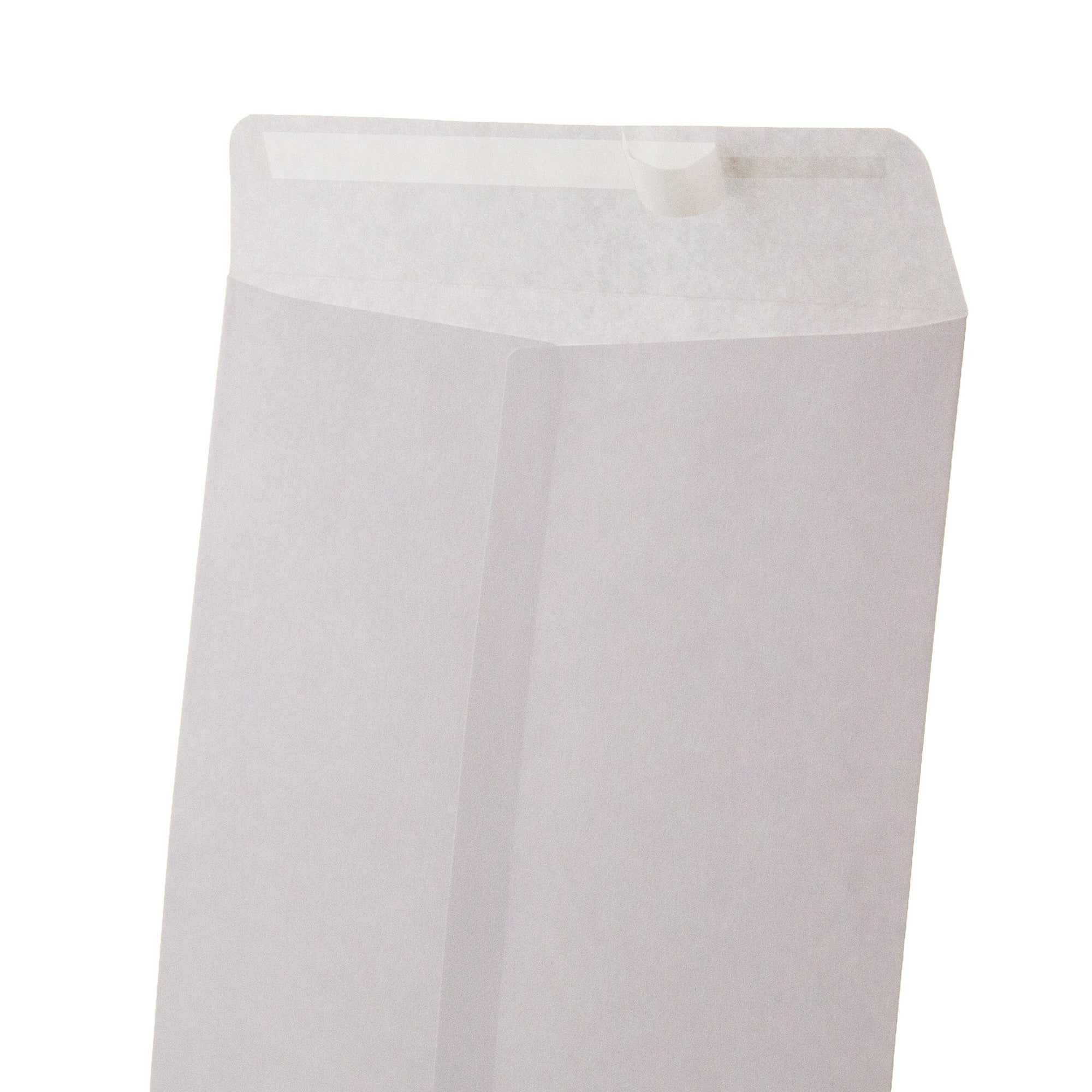 Self-Seal White Envelope 6" x 9" (6/Pack)