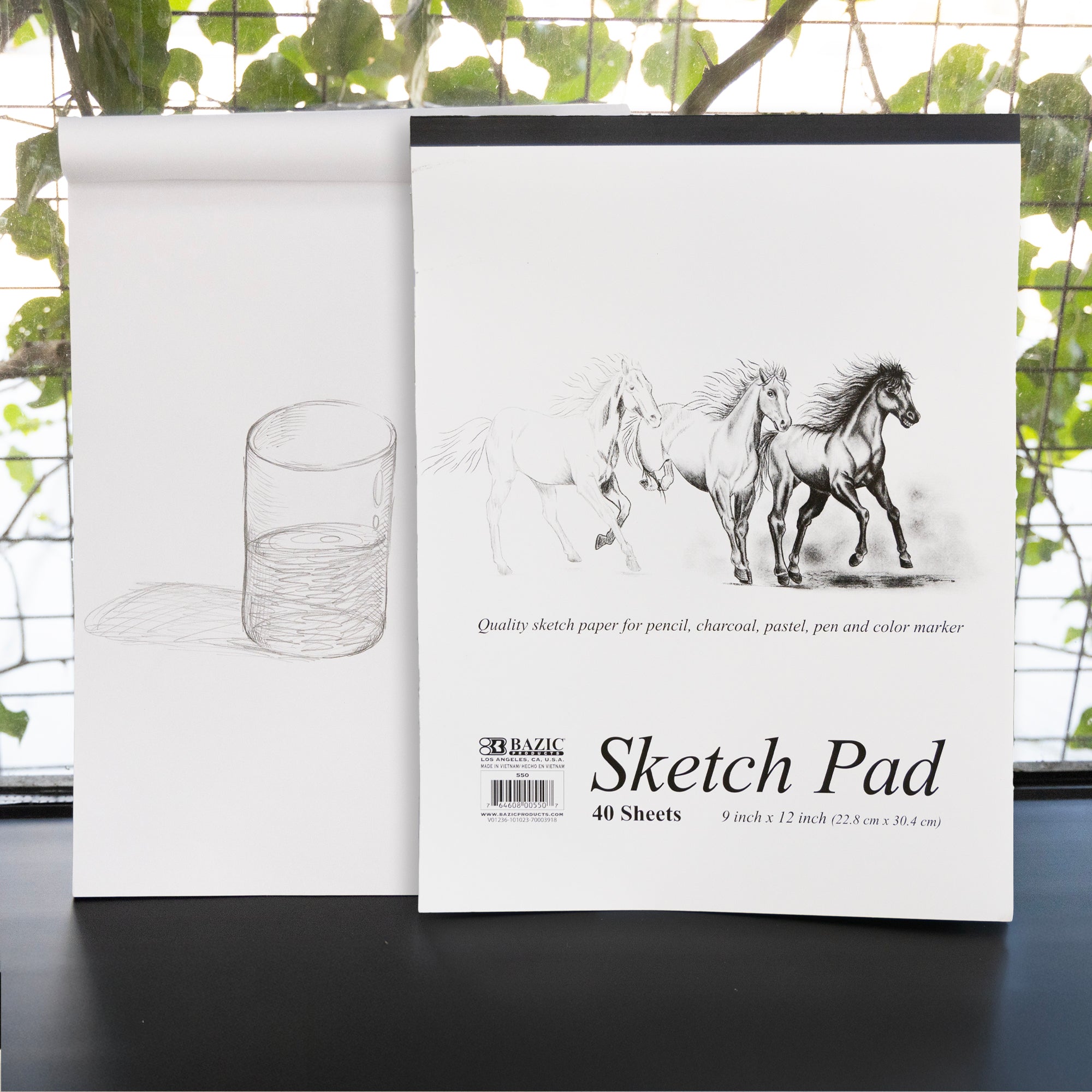 Sketch Pad 9"X 12"(40 Ct.)