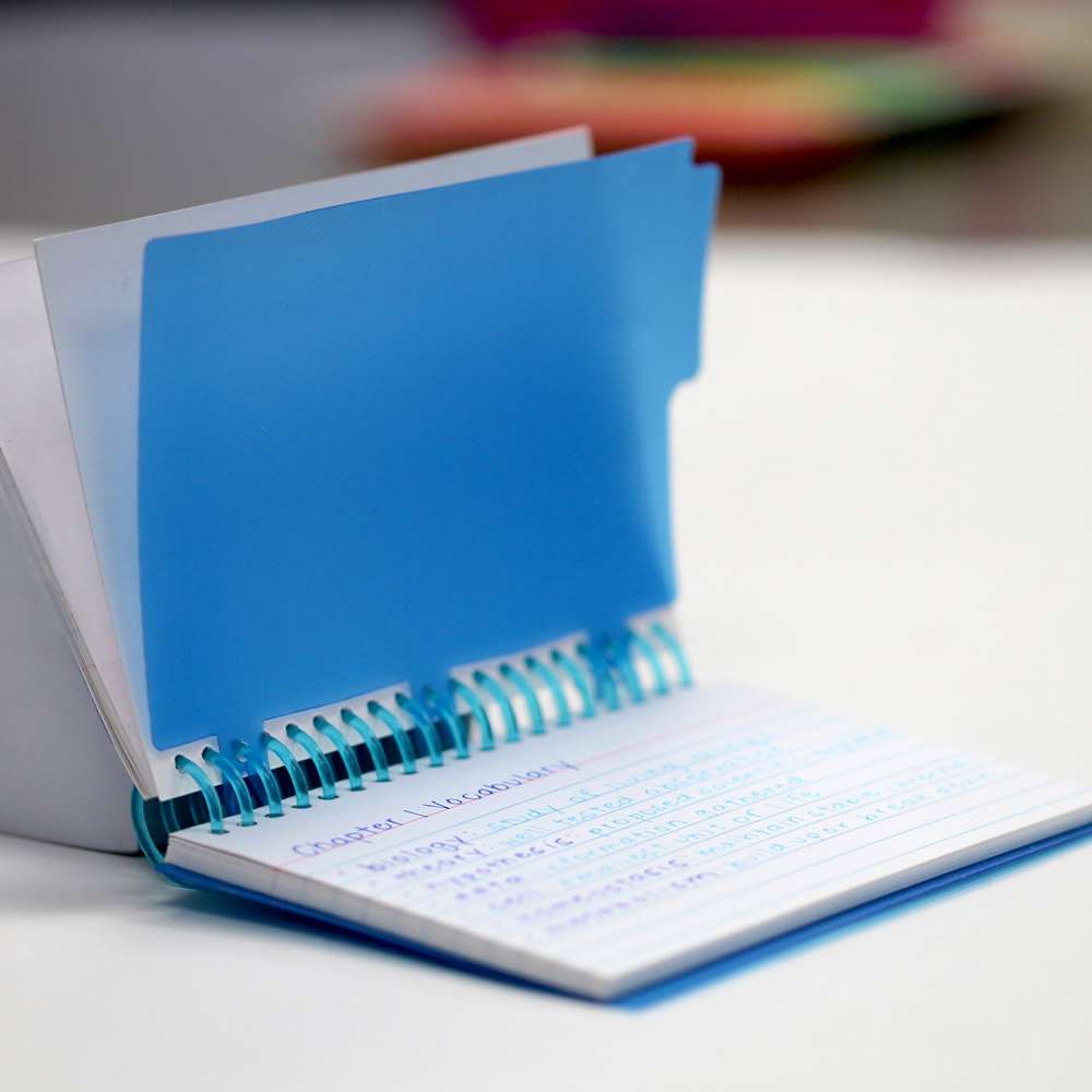 View Poly Ruled Index Card w/ Divider 3" x 5" 50 Ct.