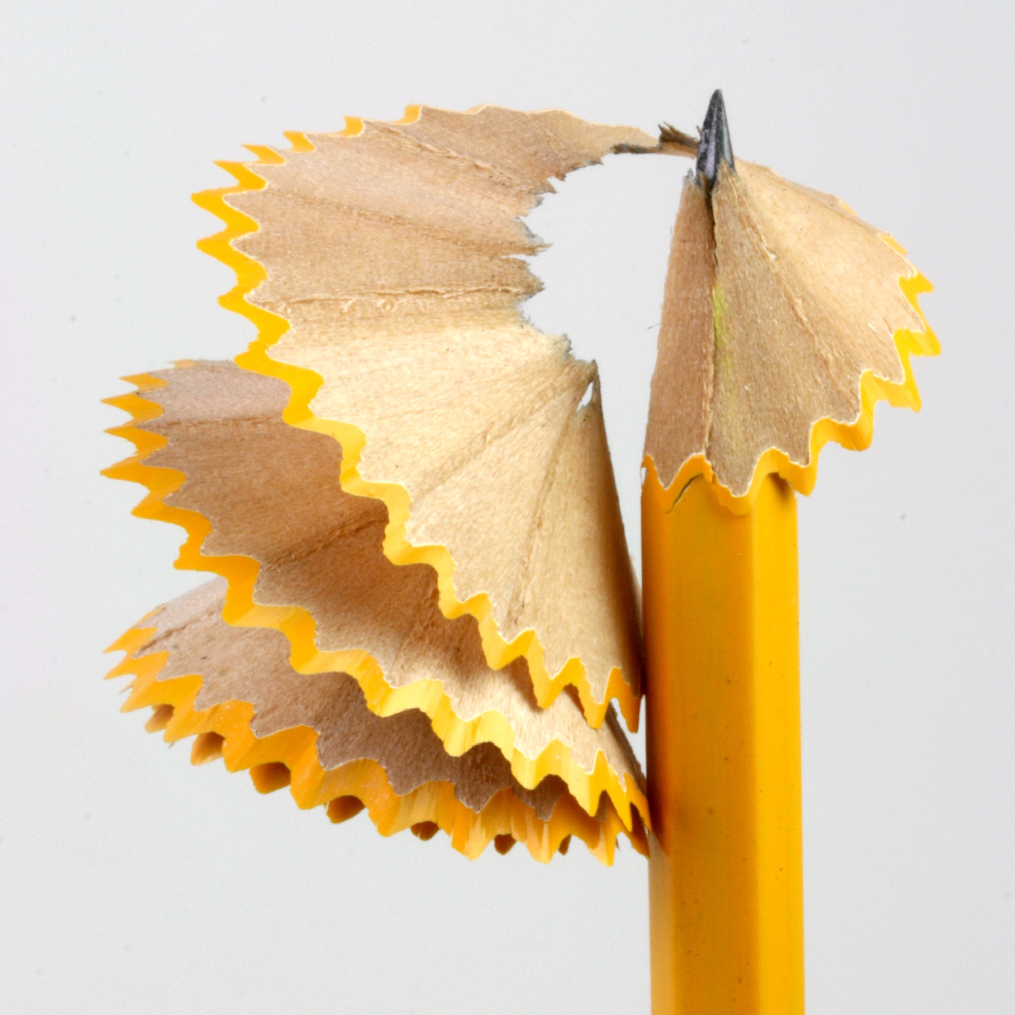 Yellow Pencil