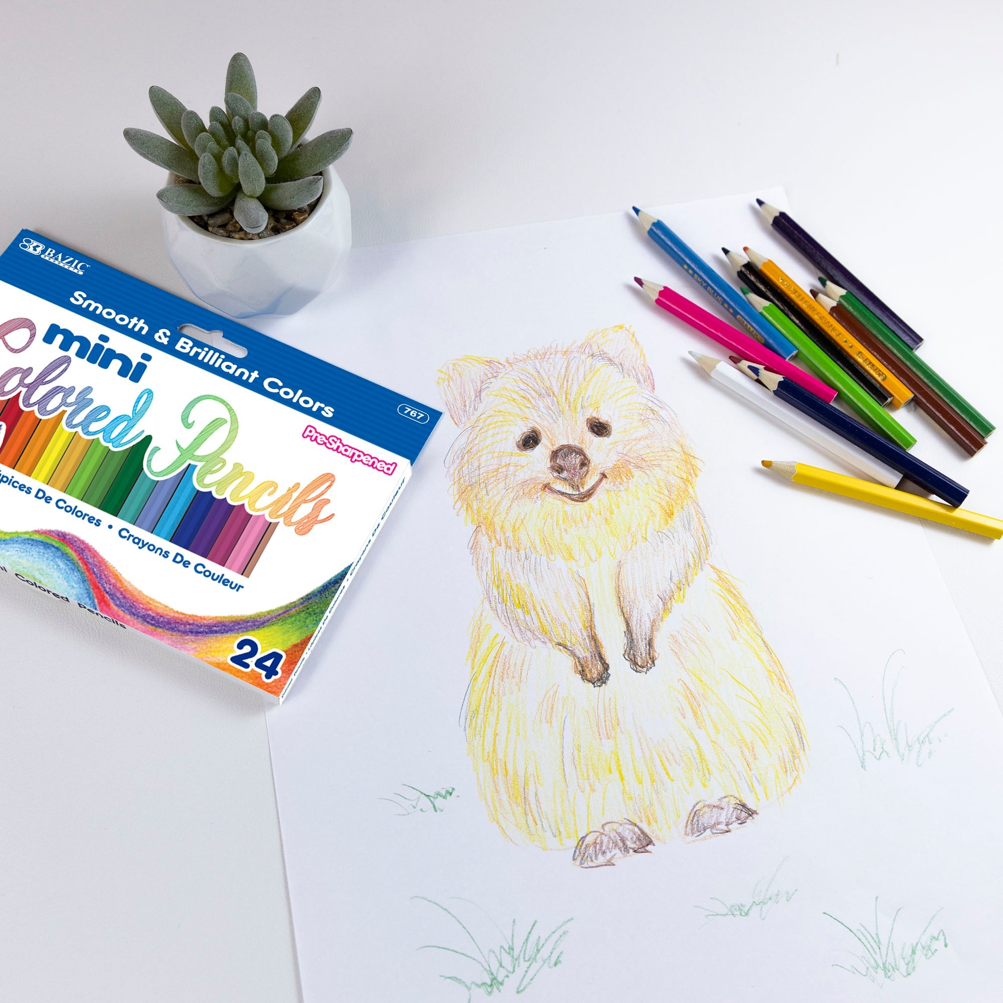 24 Mini Colored Pencils