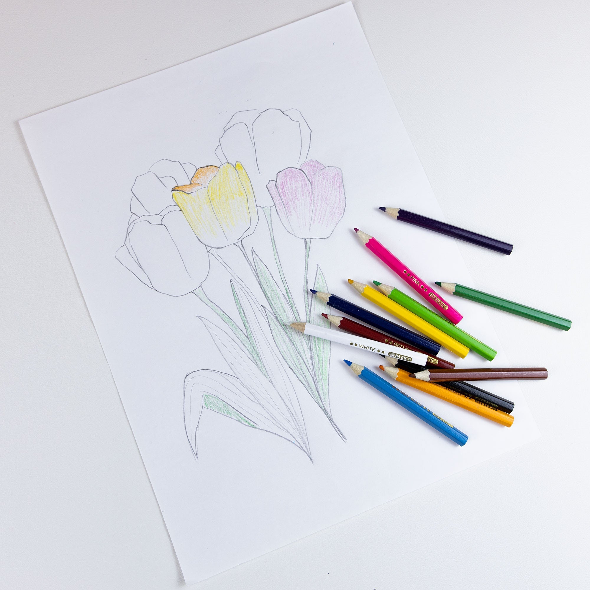 12 Mini Colored Pencils