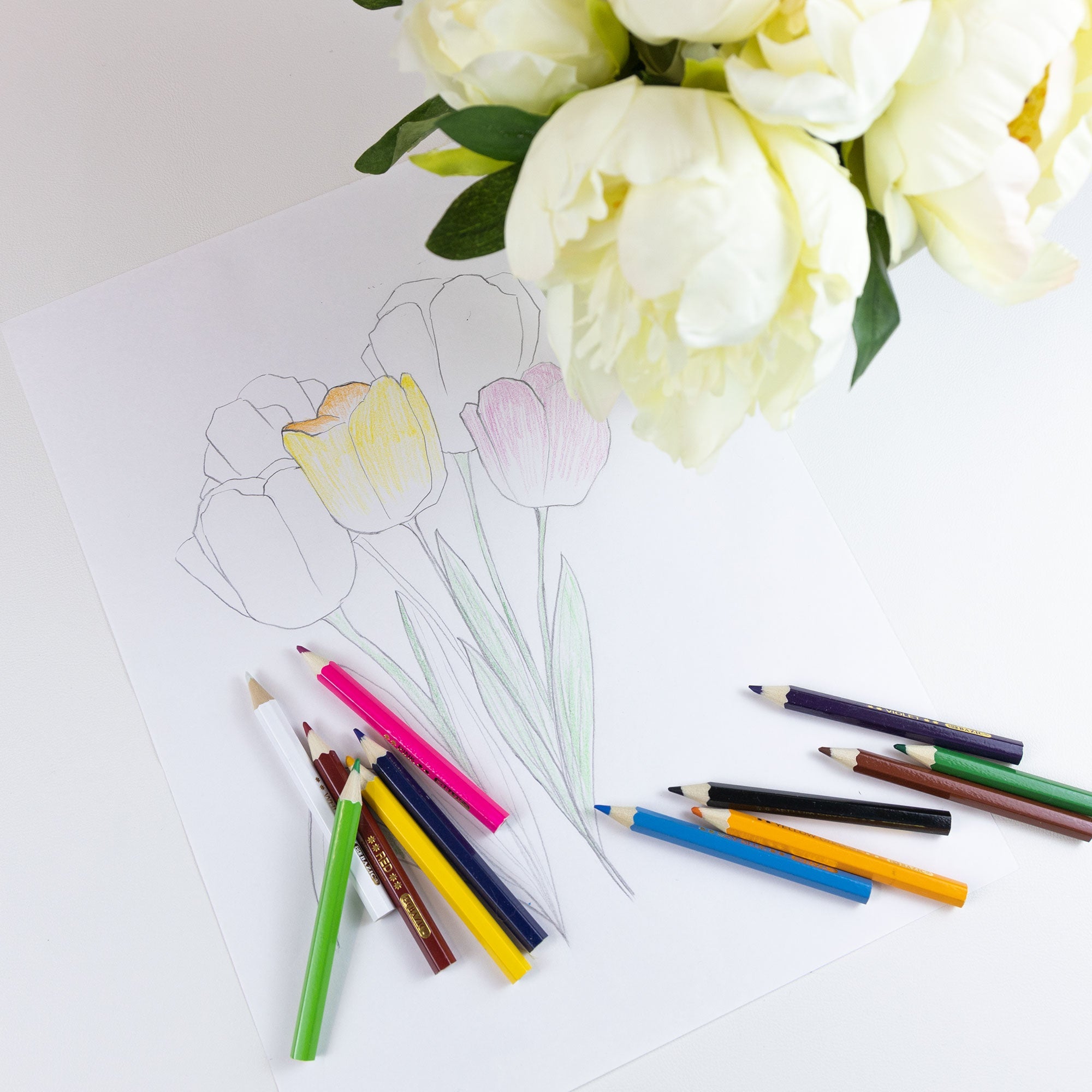 12 Mini Colored Pencils