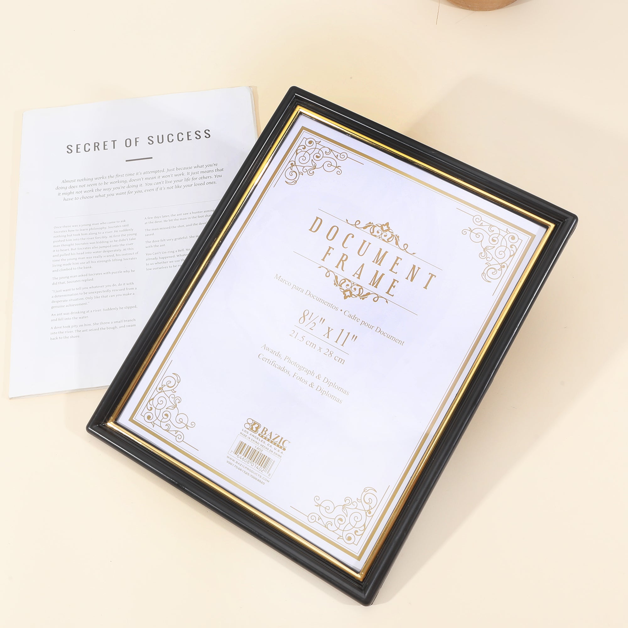 8.5" X 11" Document Frame w/ Gold Border