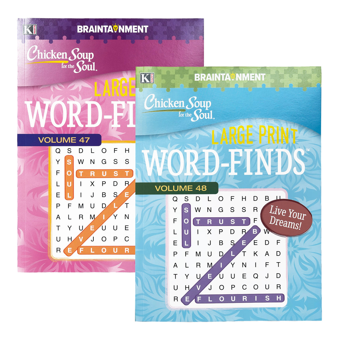 KAPPA Large Print Chicken Soup For The Soul Word Finds Puzzle Book