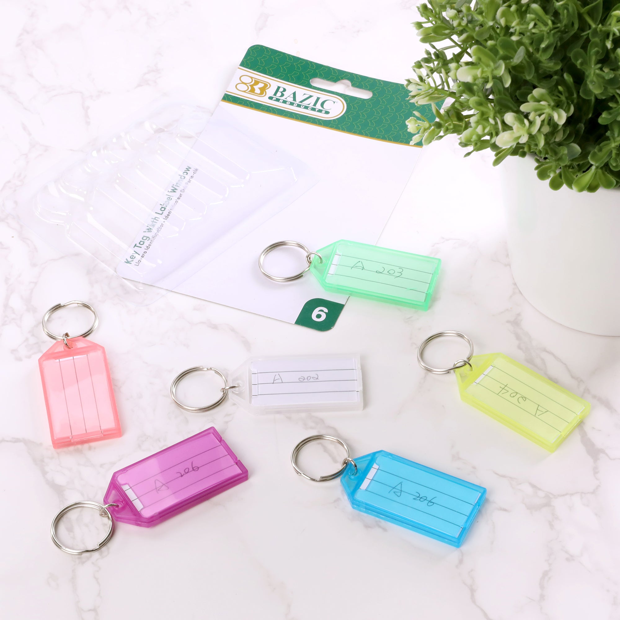 Key Tags with Holder &amp; Label Window (6/Pack)