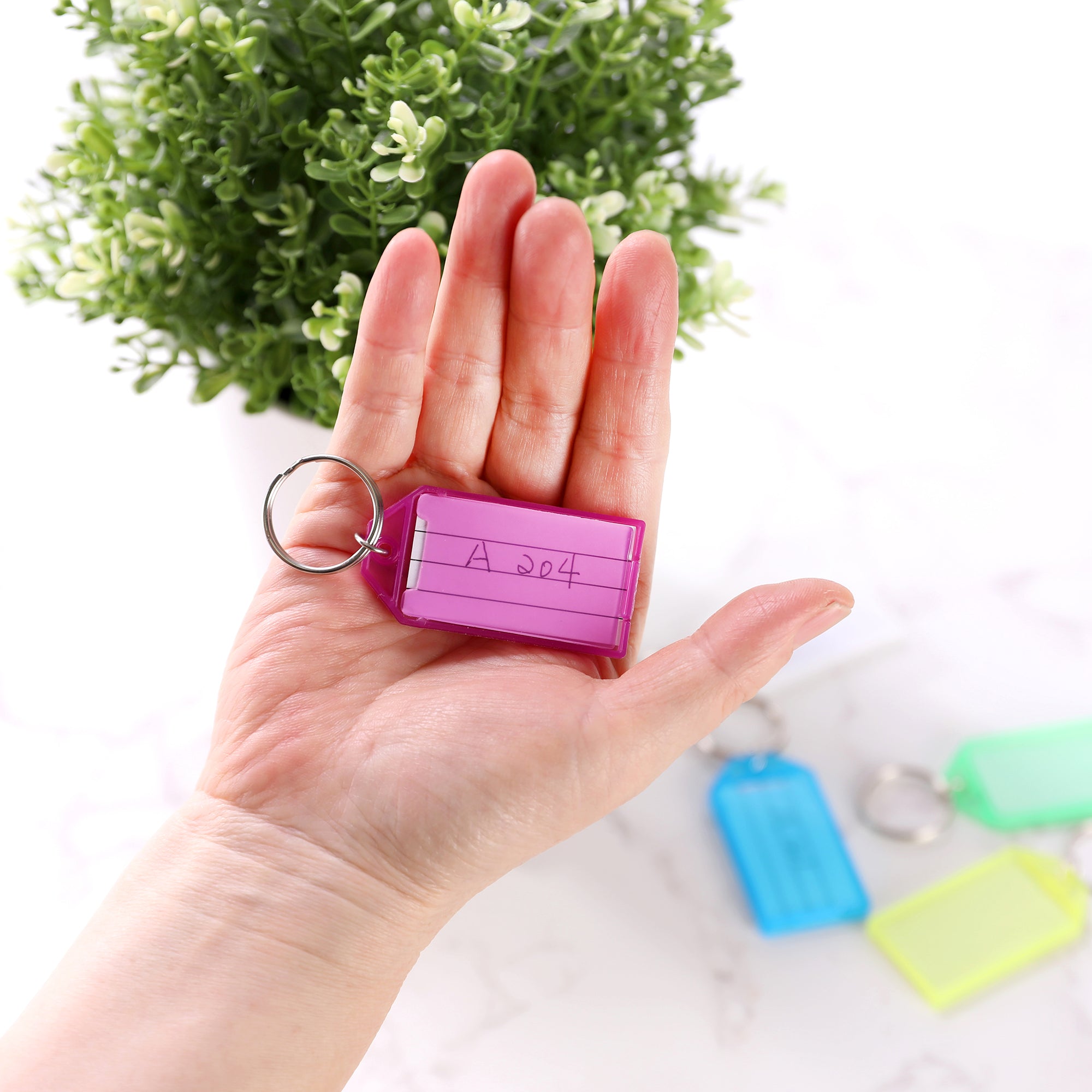 Key Tags with Holder &amp; Label Window (6/Pack)