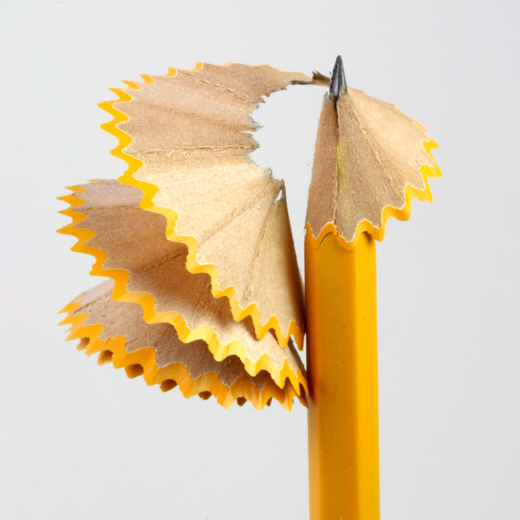 Yellow Pencil 