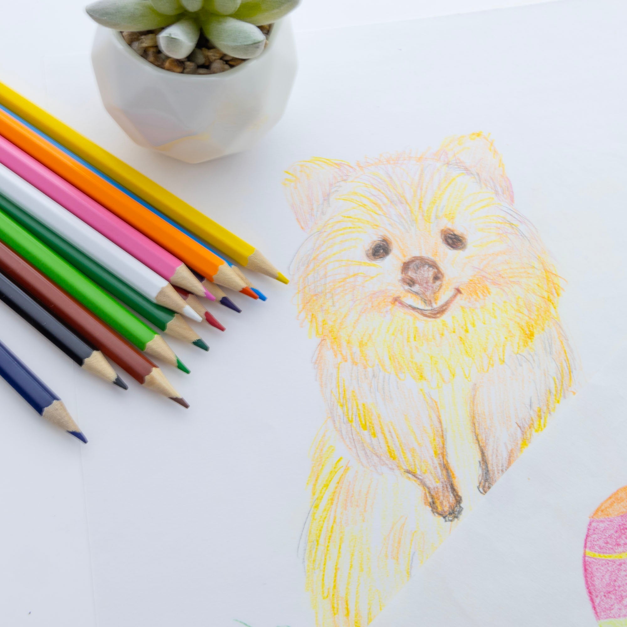 BAZIC Wood 12 Colored Pencils